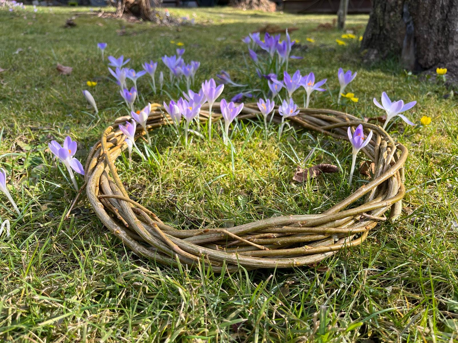 Grabbepflanzung mit Farnen und Blüten